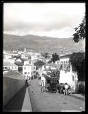 Rua Imperatriz D. Amélia (atual avenida Infante), Freguesia de São Pedro (atual Freguesia da Sé), Concelho do Funchal