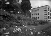 Jardins e parte do edifício do Sanatório Dr. João de Almada (atual Hospital Dr. João de Almada), Freguesia do Monte, Concelho do Funchal