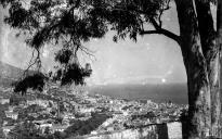 Vista sobre a cidade a partir do Paiol, freguesia de São Pedro, concelho do Funchal