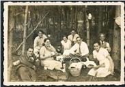 Retrato de um grupo de pessoas num piquenique, no campo  