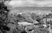 Jardins do "Reid's Palace Hotel" (atual "Belmond Reid's Palace"), Freguesia de São Martinho, Concelho do Funchal