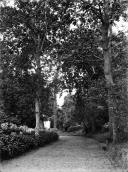 Alameda e jardim da Quinta do Monte, localizada no caminho do Pico, freguesia do Monte, concelho do Funchal