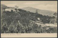B. P. n.º 86 - Madeira. Monte