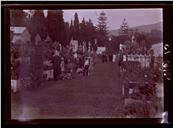Grupo de pessoas no cemitério das Angústias, Freguesia de São Pedro (atual Freguesia da Sé), Concelho do Funchal