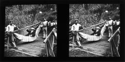 Alexander Lamont Henderson, transportado numa rede, sobre uma ponte de madeira, no caminho para o Pico das Rosas