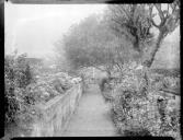 Caminho calcetado e jardim da Quinta Glicínia, na rua e Freguesia de Santa Luzia, Concelho do Funchal