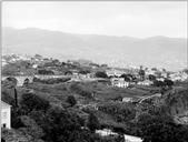 Vista do sítio do Ribeiro Seco e Ilhéus a partir do sítio do Salto do Cavalo, Freguesia de São Martinho, Concelho do Funchal