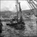 Barco carreireiro "Maria Cristina, a ser rebocado para o arsenal de São Tiago, Freguesia de Santa Maria Maior, Concelho do Funchal