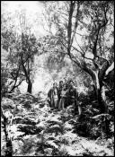 Retrato de um homem, uma mulher, um jovem e uma jovem em ambiente florestal, em local não identificado