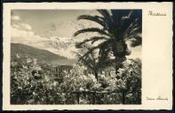 Jardins, flores tropicais, Hospício da Princesa Dona Maria Amélia, Funchal