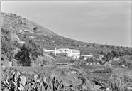 Fábrica de lacticínios ILMA, vista da estrada Monumental nas imediações do sítio do Arreiro, Freguesia de São Martinho, Concelho do Funchal