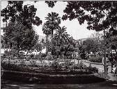 Jardim Municipal, Freguesia de São Pedro (atual Freguesia da Sé), Concelho do Funchal