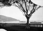 Baía do Funchal, tirada dos jardins da Quinta das Angústias (atual Quinta Vigia), vendo-se dois navios
