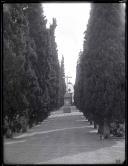 Alameda principal do cemitério das Angústias, Freguesia de São Pedro (atual Freguesia da Sé), Concelho do Funchal