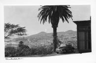 Panorâmica da cidade a partir da Quinta de Mrs. Garton, lombo da Boa Vista, Freguesia de Santa Maria Maior, Concelho do Funchal   