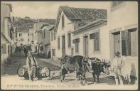 B. P. n.º 63 - Madeira. Funchal. Corsa de Bois