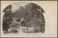 B. P. n.º 46 - Madeira. Funchal, lago do Jardim Público