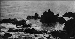 Formações rochosas na costa marítima no sítio da Ponta da Cruz, Freguesia de São Martinho, Concelho do Funchal