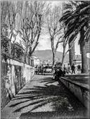 Rua das Fontes, Freguesia da Sé, Concelho do Funchal