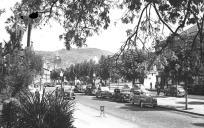 Vista parcial da avenida Arriaga (faixa sul), vista do Jardim Municipal, Freguesia da Sé, Concelho do Funchal