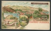 Vista do Funchal a partir do hotel Bela Vista, rede de transporte, carro de bois, Jardim Municipal do Funchal
