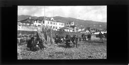 Corças com juntas de bois cangados e vários homens sentados, a descansar, na praia do Funchal