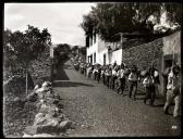 Grupo de borracheiros a descer o caminho da Penteada, Freguesia de São Roque, Concelho do Funchal