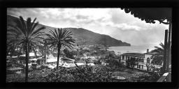 Panorâmica da cidade do Funchal, tirada do hotel Bella Vista. Em primeiro plano, o Hospício Princesa D. Amélia e a fábrica de São João. Ao fundo, a ponta do Garajau