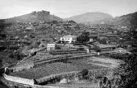 Vista da Quinta Bettencourt no caminho do Pilar, Freguesia de São Pedro, Concelho do Funchal