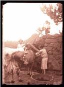 Uma família e dois bovinos, em local não identificado, na Ilha da Madeira