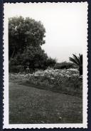 Jardim da Quinta da Bela Vista, Freguesia de São Martinho, Concelho do Funchal
