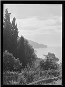 Molhe da Pontinha visto a partir do jardim do Atlantic Hotel, Freguesia da Sé, Concelho do Funchal