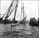 Barco carreireiro, Maria Cristina, a ser retirado do fundo do mar, na baía da Ponta do Garajau