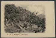 B. P. n.º 132 - Madeira. Ribeiro Frio