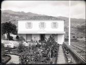 Casa e jardim da Quinta Martins, Freguesia de Santa Luzia (atual Freguesia do Imaculado Coração de Maria), Concelho do Funchal