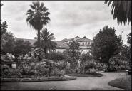 Vista parcial do Jardim Municipal, Freguesia da Sé, Concelho do Funchal