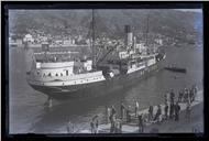 Navio de passageiros "Lima", no porto do Funchal, Freguesia de São Pedro (atual Freguesia da Sé), Concelho do Funhal