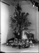 Árvore de Natal no canto de uma sala e brinquedos em seu redor