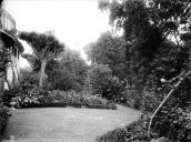 Jardim da Quinta Palmeira, localizada na rua da Torrinha e rua da Levada de Santa Luzia, freguesia do Imaculado Coração de Maria, concelho do Funchal. 