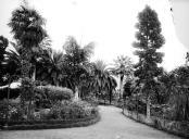 Jardim Municipal, Freguesia da Sé, Concelho do Funchal