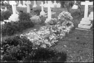 Campa no cemitério inglês, Freguesia da Sé, Concelho do Funchal