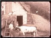 Uma família e dois bovinos junto de um palheiro, em local não identificado, na Ilha da Madeira