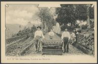 B. P. n.º 88 - Madeira. Carro do Monte
