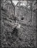 Retrato de criança junto a um tronco, em local não identificado