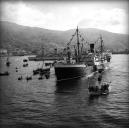 Vapor Lima, à chegada à baía do Funchal, rodeado de pequenos barcos, Concelho do Funchal
