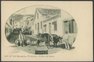 B. P. n.º 62 - Madeira. Funchal. Corsa de Bois