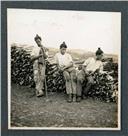 Retrato de três homens junto a um molhe de lenha, Freguesia da Camacha, Concelho de Santa Cruz