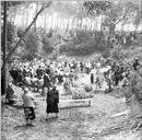 Atuação do grupo de folclórico da Ponta do Pargo, na 1.ª Feira de Gado do Porto Moniz, sítio da Lagoa, Freguesia e Concelho do Porto Moniz