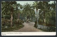 M. O. P. N.º 43 - Madeira. Jardim público