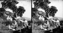 Retrato de um grupo de homens na serra fazendo uma pausa e lanche, em local não identificado, na Ilha da Madeira